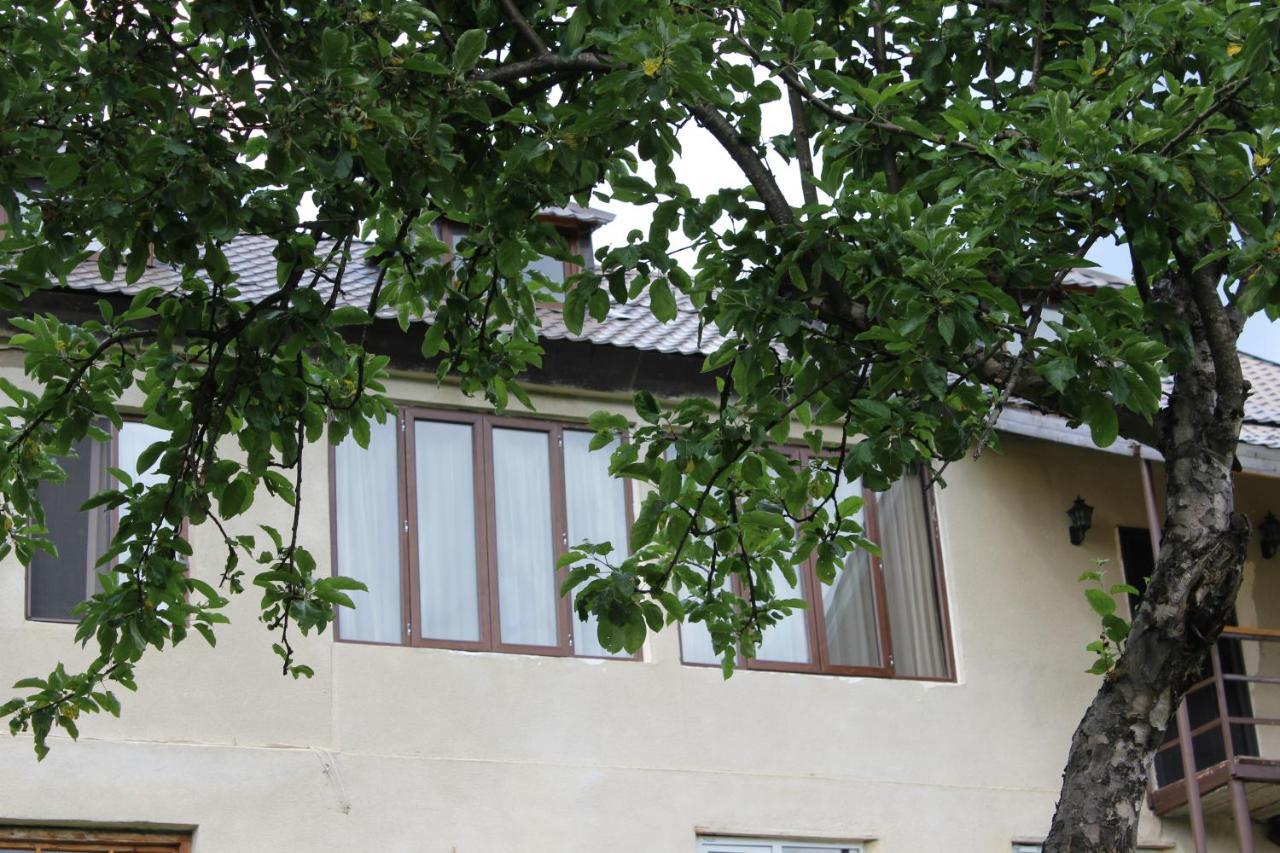 Village House เมสเตีย ภายนอก รูปภาพ